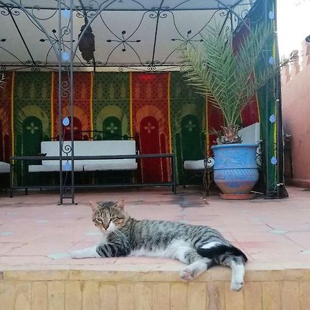 מרקש Riad Araba Felice מראה חיצוני תמונה